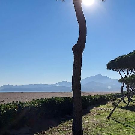 Appartement Renove Avec Balcon A 100 M De La Plage アルジェレス・シュル・メール エクステリア 写真