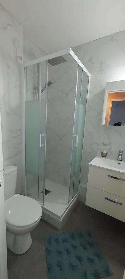 Appartement Renove Avec Balcon A 100 M De La Plage アルジェレス・シュル・メール エクステリア 写真